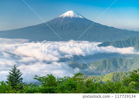 【山梨縣】初夏的富士山和大片雲海、新道峠 117729134