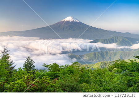 【山梨縣】初夏的富士山和大片雲海、新道峠 【山梨縣】初夏的富士山和大片雲海、新道峠 117729135