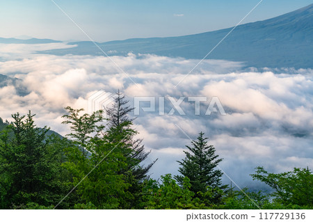 [Yamanashi Prefecture] Mt. Fuji and the Great Sea of Clouds - Shindo Pass in Early Summer 117729136