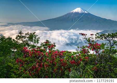 【山梨縣】初夏的富士山和大片雲海、新道峠 【山梨縣】初夏的富士山和大片雲海、新道峠 117729191