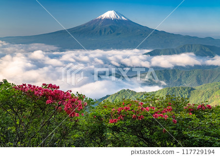 [Yamanashi Prefecture] Mt. Fuji and the Great Sea of Clouds - Shindo Pass in Early Summer 117729194