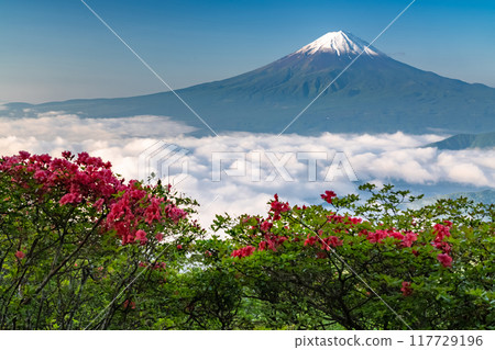 [Yamanashi Prefecture] Mt. Fuji and the Great Sea of Clouds - Shindo Pass in Early Summer 117729196