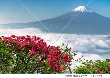 【山梨縣】初夏的富士山和大片雲海、新道峠 117729199