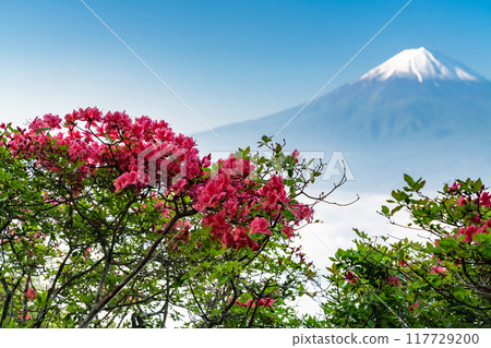 [Yamanashi Prefecture] Mt. Fuji and the Great Sea of Clouds - Shindo Pass in Early Summer 117729200