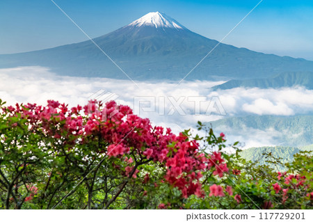 [Yamanashi Prefecture] Mt. Fuji and the Great Sea of Clouds - Shindo Pass in Early Summer 117729201