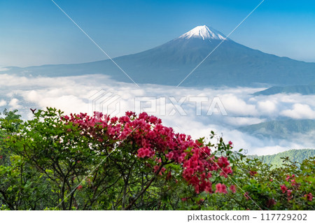 【山梨縣】初夏的富士山和大片雲海、新道峠 117729202