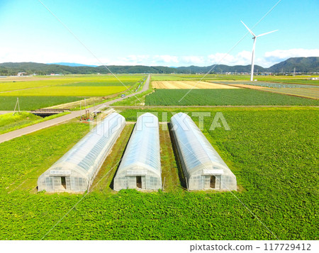 在北海道江差町拍攝夏季的乙烯基溫室和田園風光 117729412