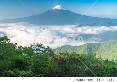 [Yamanashi Prefecture] Mt. Fuji and the Great Sea of Clouds - Shindo Pass in Early Summer 117729415
