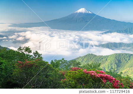 [Yamanashi Prefecture] Mt. Fuji and the Great Sea of Clouds - Shindo Pass in Early Summer 117729416