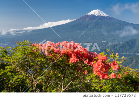 [Yamanashi Prefecture] Mount Fuji, Shindo Pass in early summer 117729578