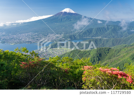 [Yamanashi Prefecture] Mount Fuji, Shindo Pass in early summer 117729580