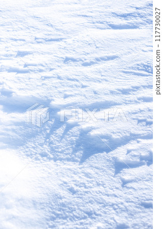 凹凸不平的雪紋 117730027