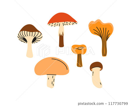 Vector set with forest mushrooms. Autumn harvest. Illustration in a flat style. Vector set with forest mushrooms. Autumn harvest. Illustration in a flat style. 117730799