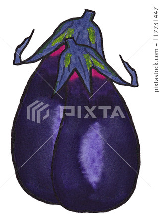 手繪水彩畫兩幅（圖畫字母）《茄子》 117731447