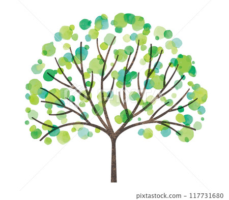 Watercolor round leafed tree 117731680