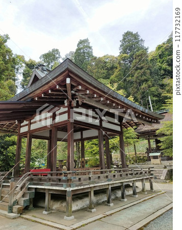 The worship hall of Tsukiyomi Shrine in Kyoto, surrounded by fresh greenery The worship hall of Tsukiyomi Shrine in Kyoto, surrounded by fresh greenery 117732169