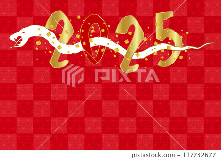 Snake New Year's card Japanese pattern background 117732677