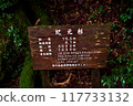 屋久島鬼源杉招牌 117733132