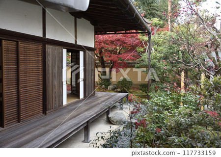 從北條東花園看到的光林院、北花園的楓樹 117733159