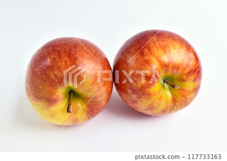 Apple（Shinano Lip） 117733163