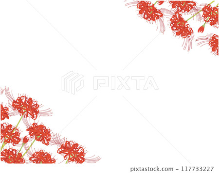 彼岸花框③白底 彼岸花框③白底 117733227