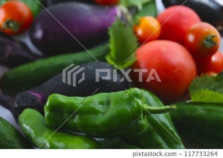 在陽台花園裡種植的夏季蔬菜 在陽台花園裡種植的夏季蔬菜 117733264