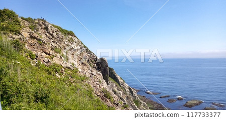 Clifftop Pacific Ocean Clifftop Pacific Ocean 117733377