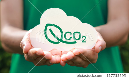 Hand holding with cloud for co2, ESG and net zero. energy saving concept. save our planet, world environment day, world earth day. sustainable development and green business. 117733395