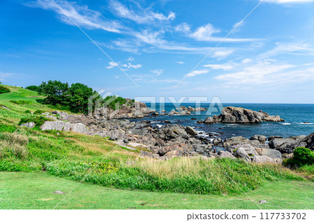 我一個人去青森旅行時順便去的種差海灘，是一個美麗的海灘，有綠色的天然草地和藍色的太平洋。 117733702