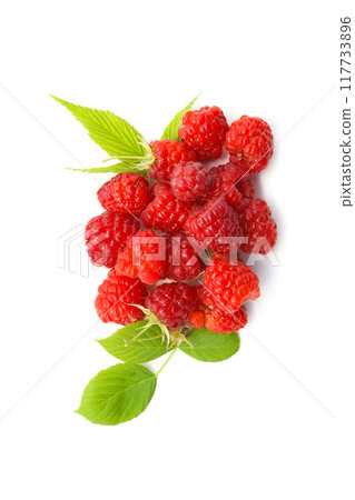 raspberry, white background 117733896