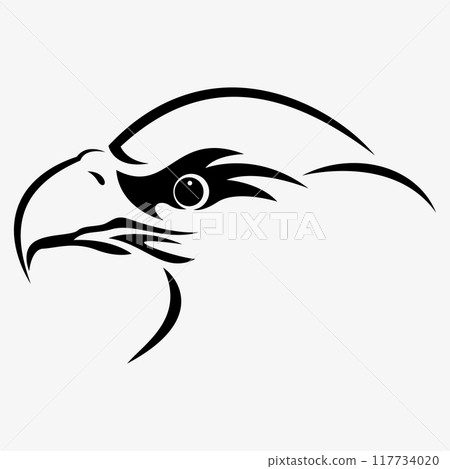 eagle vector illustration design eagle vector illustration design 117734020