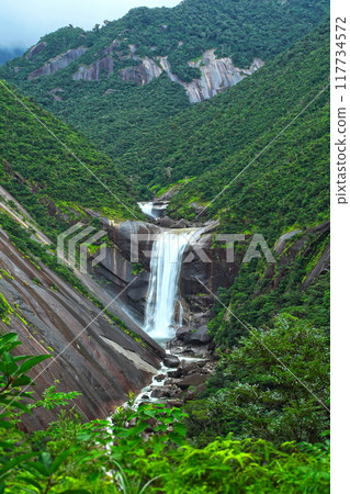 千尋的瀑布屋久島 117734572