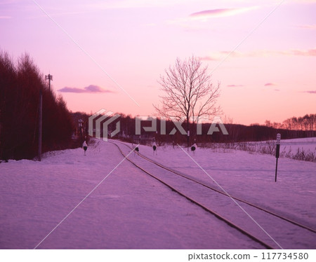 北海道釧路濕原的丹頂鶴車站蒲沼站/日出時分,丹頂鶴在冰雪覆蓋的鐵軌上行走 北海道釧路濕原的丹頂鶴車站蒲沼站/日出時分,丹頂鶴在冰雪覆蓋的鐵軌上行走 117734580