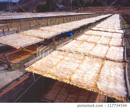 A seasonal winter tradition in the Kansai region: "Sun-drying agar" in the Shimoakoya and Akoya districts of Inagawa Town 117734594