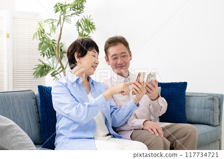 Senior couple with smartphone 117734721