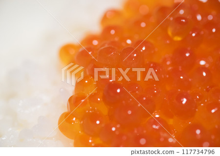 鮭魚子碗的圖像 117734796