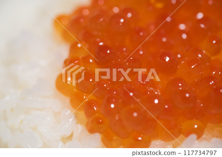 鮭魚子碗的圖像 117734797