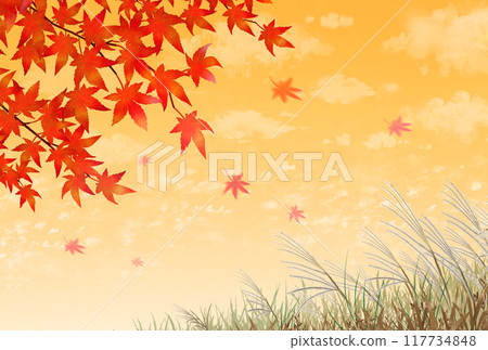 Autumn leaves and silver grass, sunset, autumn scenery 117734848