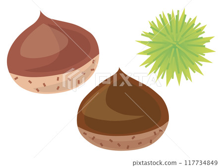 Chestnut Set 3 117734849