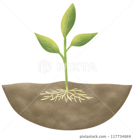 Illustration of garden, hand drawing set of soil, sprout, garden, clay Illustration of garden, hand drawing set of soil, sprout, garden, clay 117734869