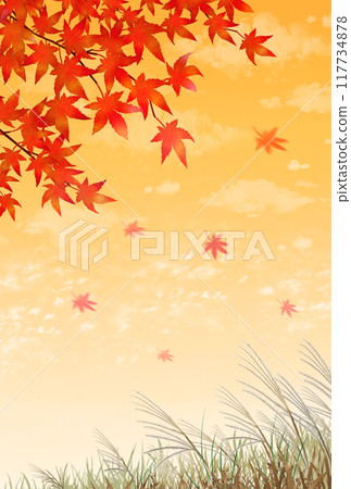 秋葉和潘帕斯草，日落，秋天風景，肖像 117734878