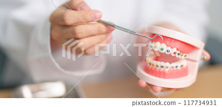 Dentist with Orthodontic tooth model and bracket or brace. Clean and Scrape off tartar. May Orthodontic Health Day, March Oral health, Dentist Day, False Teeth. Toothache and Children Dental Health 117734931