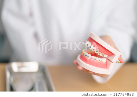 Dentist with Orthodontic tooth model and bracket or brace. Clean and Scrape off tartar. May Orthodontic Health Day, March Oral health, Dentist Day, False Teeth. Toothache and Children Dental Health 117734988