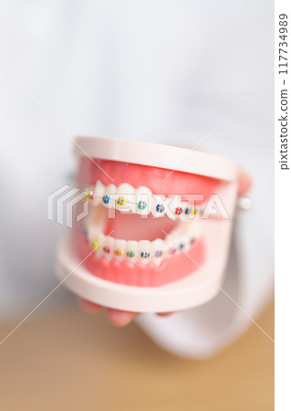 Dentist with Orthodontic tooth model and bracket or brace. Clean and Scrape off tartar. May Orthodontic Health Day, March Oral health, Dentist Day, False Teeth. Toothache and Children Dental Health 117734989