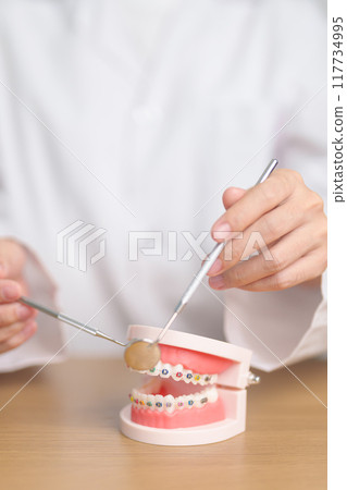Dentist with Orthodontic tooth model and bracket or brace. Clean and Scrape off tartar. May Orthodontic Health Day, March Oral health, Dentist Day, False Teeth. Toothache and Children Dental Health Dentist with Orthodontic tooth model and bracket or brace. Clean and Scrape off tartar. May Orthodontic Health Day, March Oral health, Dentist Day, False Teeth. Toothache and Children Dental Health 117734995