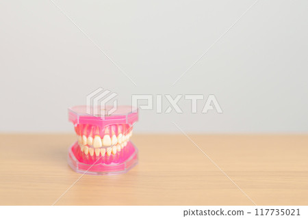 tooth Anatomy model. Oral Teeth and disease, Scrape off tartar. March Oral health, Dentist Day, False Teeth. Toothache and Children Dental Health Month and Orthodontic Health Day 117735021