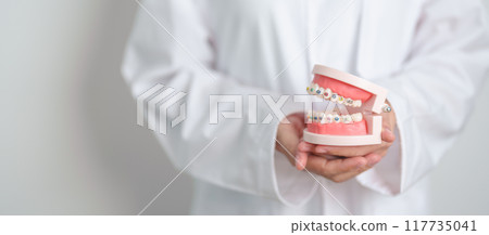 Dentist with Orthodontic tooth model and bracket or brace. Clean and Scrape off tartar. May Orthodontic Health Day, March Oral health, Dentist Day, False Teeth. Toothache and Children Dental Health Dentist with Orthodontic tooth model and bracket or brace. Clean and Scrape off tartar. May Orthodontic Health Day, March Oral health, Dentist Day, False Teeth. Toothache and Children Dental Health 117735041