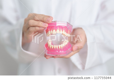 Dentist with tooth Anatomy model. Oral Teeth and disease, Scrape off tartar. March Oral health, Dentist Day, False Teeth. Toothache and Children Dental Health Month and Orthodontic Health Day Dentist with tooth Anatomy model. Oral Teeth and disease, Scrape off tartar. March Oral health, Dentist Day, False Teeth. Toothache and Children Dental Health Month and Orthodontic Health Day 117735044