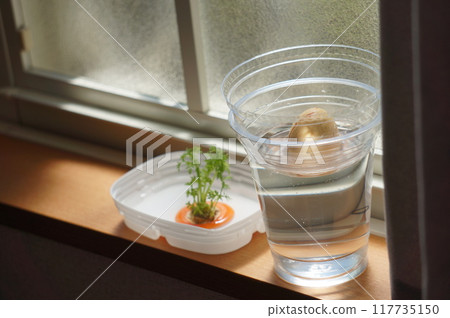 重生蔬菜 117735150