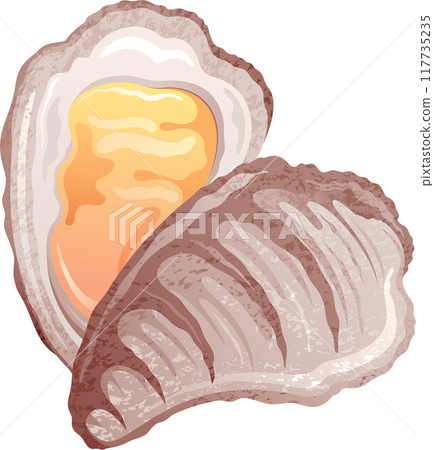 Oyster shell vector. Seafood isolated illustration, Oyster sea food. Cartoon shellfish icon. Seashell mussel vintage vector. Raw clam art. Fresh scallop seafood. Ocean half shell restaurant dinner 117735235